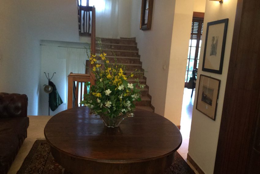 10974FA1-03D0-4AF4-98FA-3DB975FB9033 (2)