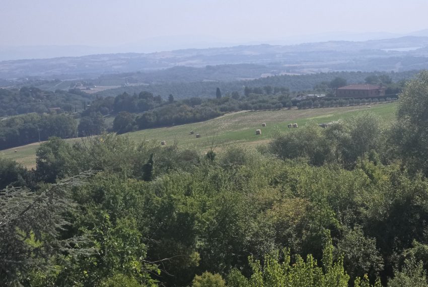 20260808_101527