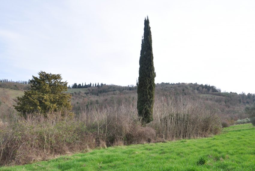 Erosina particolare...