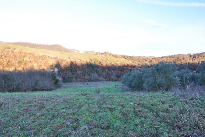 Erosina seminativo e oliveto