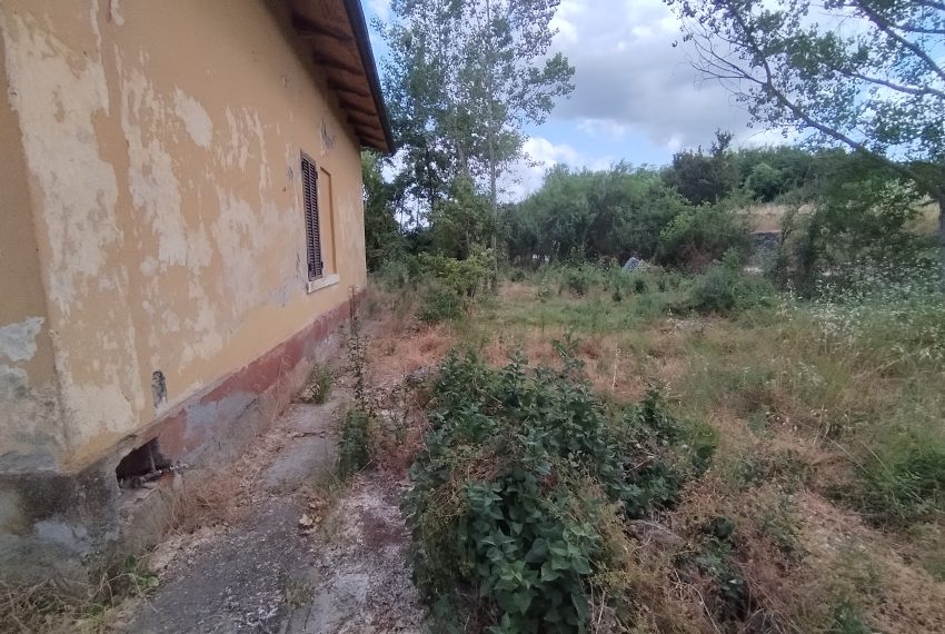 IMG_20250617_145637 (1)