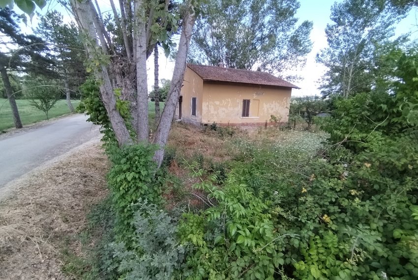 IMG_20250617_150109 (1)