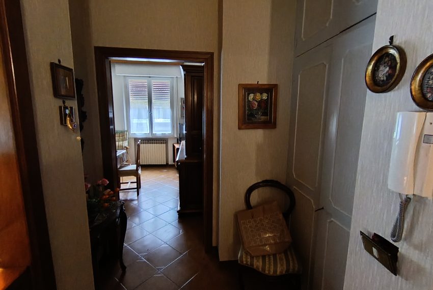 IMG_20260414_153535 - Copia