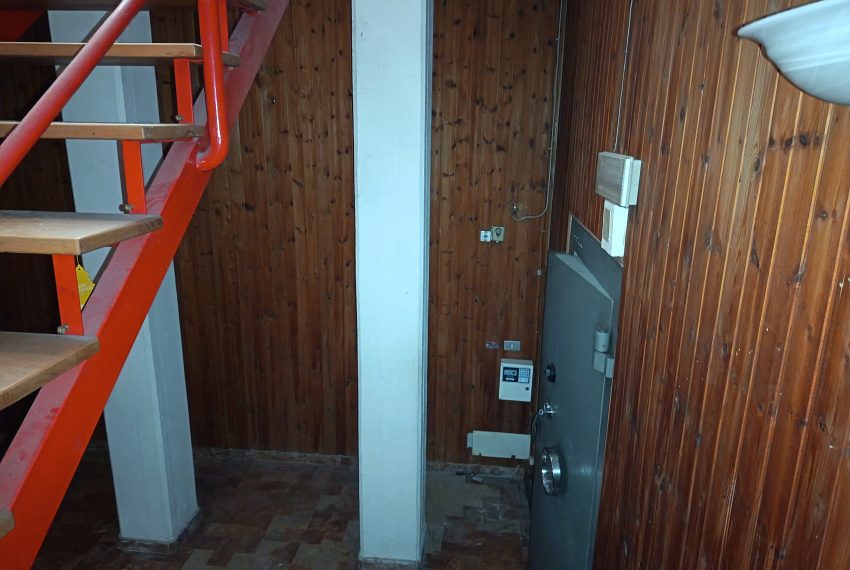 IMG_20260417_093917 - Copia - Copia - Copia