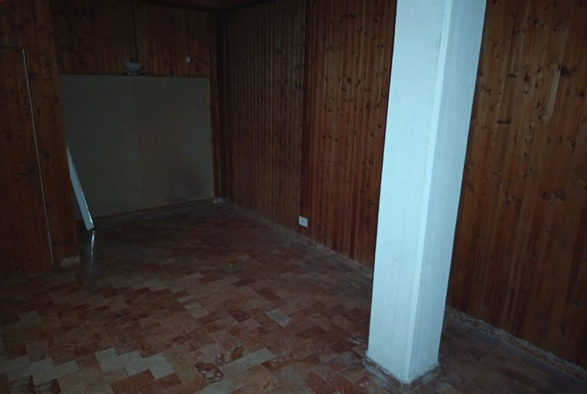 IMG_20260417_093927 - Copia - Copia - Copia