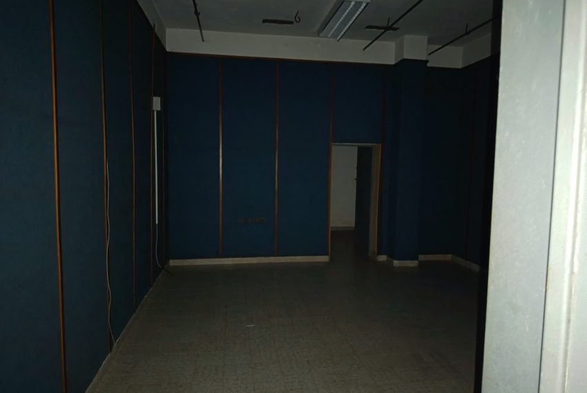 IMG_20260417_094020 - Copia