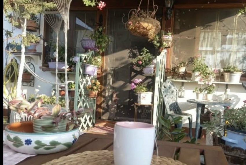 Messenger_creation_62D99CEE-DBFE-482E-86B7-26103391B059