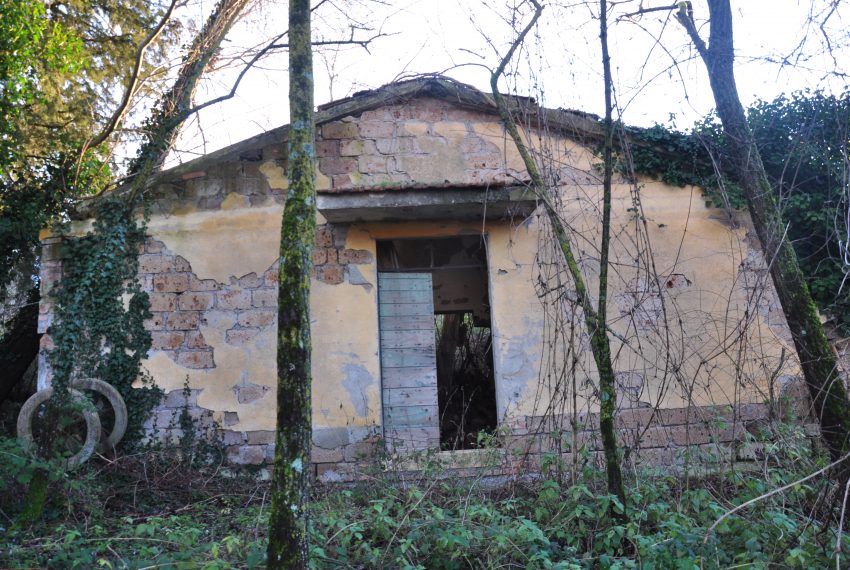 erosina magazzino2 (1)